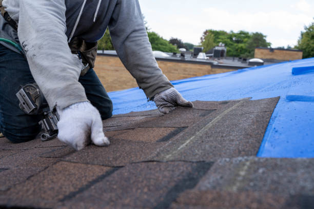 Roof Gutter Cleaning in West Pleasant View, CO